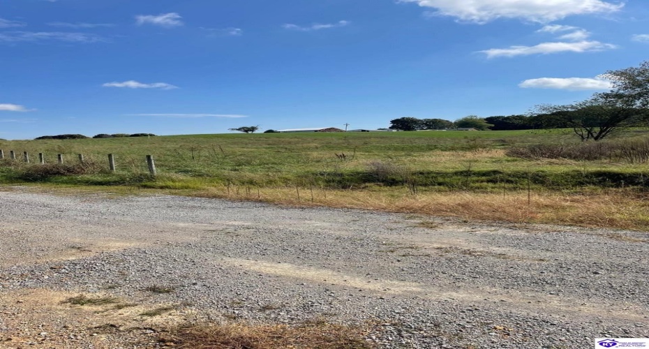 M Moss Lane, Campbellsville, Kentucky 42718, ,For Sale,M Moss Lane,HK24003665