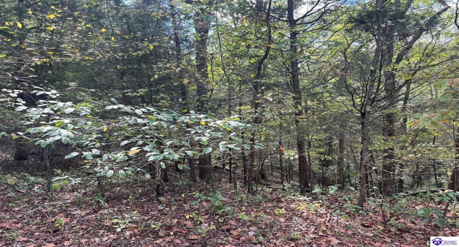 Primrose Lane, Brandenburg, Kentucky 40108, ,For Sale,Primrose Lane,HK24003671