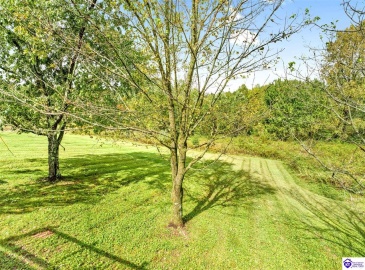 Millerstown Road, Clarkson, Kentucky 42726, ,1 BathroomBathrooms,For Sale,Millerstown Road,HK24003673