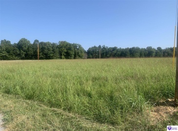 Ponderosa Drive, Clarkson, Kentucky 42726, ,For Sale,Ponderosa Drive,HK23003555