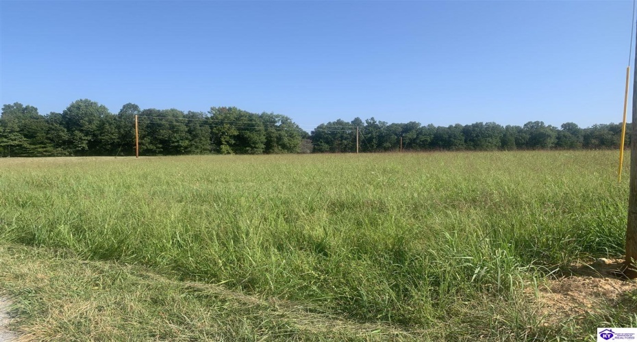 Ponderosa Drive, Clarkson, Kentucky 42726, ,For Sale,Ponderosa Drive,HK23003555 Ponderosa Drive, Clarkson, Kentucky 42726, ,For Sale,Ponderosa Drive,HK23003555