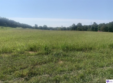 Ponderosa Drive, Clarkson, Kentucky 42726, ,For Sale,Ponderosa Drive,HK23003555