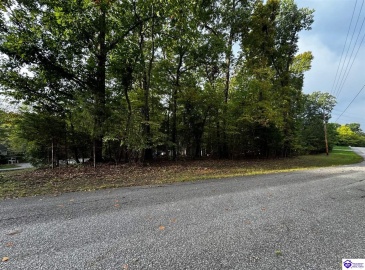 Wildflower Ridge Road, Brandenburg, Kentucky 40108, ,For Sale,Wildflower Ridge Road,HK24003710 Wildflower Ridge Road, Brandenburg, Kentucky 40108, ,For Sale,Wildflower Ridge Road,HK24003710