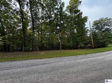 Wildflower Ridge Road, Brandenburg, Kentucky 40108, ,For Sale,Wildflower Ridge Road,HK24003710 Wildflower Ridge Road, Brandenburg, Kentucky 40108, ,For Sale,Wildflower Ridge Road,HK24003710