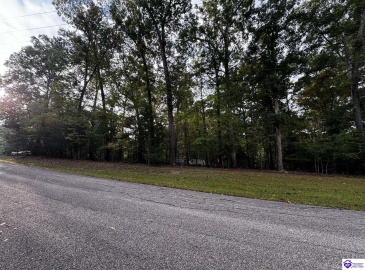 Wildflower Ridge Road, Brandenburg, Kentucky 40108, ,For Sale,Wildflower Ridge Road,HK24003710