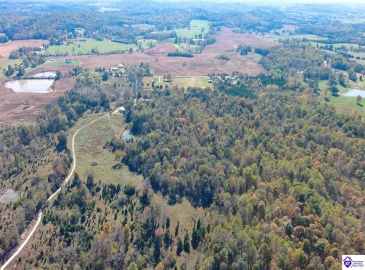 St John Road, Cecilia, Kentucky 42724, ,For Sale,St John Road,HK24003729 St John Road, Cecilia, Kentucky 42724, ,For Sale,St John Road,HK24003729