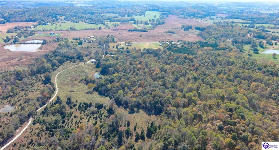 St John Road, Cecilia, Kentucky 42724, ,For Sale,St John Road,HK24003729 St John Road, Cecilia, Kentucky 42724, ,For Sale,St John Road,HK24003729