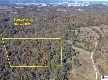 St John Road, Cecilia, Kentucky 42724, ,For Sale,St John Road,HK24003729 St John Road, Cecilia, Kentucky 42724, ,For Sale,St John Road,HK24003729