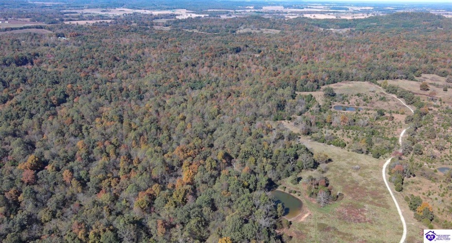 St John Road, Cecilia, Kentucky 42724, ,For Sale,St John Road,HK24003729