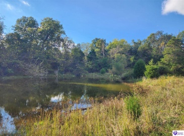 St John Road, Cecilia, Kentucky 42724, ,For Sale,St John Road,HK24003729 St John Road, Cecilia, Kentucky 42724, ,For Sale,St John Road,HK24003729