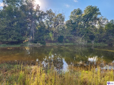 St John Road, Cecilia, Kentucky 42724, ,For Sale,St John Road,HK24003729 St John Road, Cecilia, Kentucky 42724, ,For Sale,St John Road,HK24003729