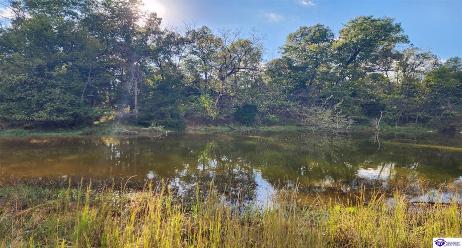 St John Road, Cecilia, Kentucky 42724, ,For Sale,St John Road,HK24003729 St John Road, Cecilia, Kentucky 42724, ,For Sale,St John Road,HK24003729