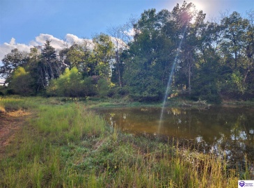 St John Road, Cecilia, Kentucky 42724, ,For Sale,St John Road,HK24003729 St John Road, Cecilia, Kentucky 42724, ,For Sale,St John Road,HK24003729