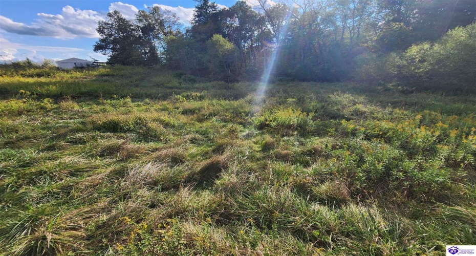 St John Road, Cecilia, Kentucky 42724, ,For Sale,St John Road,HK24003729 St John Road, Cecilia, Kentucky 42724, ,For Sale,St John Road,HK24003729