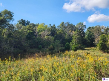 St John Road, Cecilia, Kentucky 42724, ,For Sale,St John Road,HK24003729 St John Road, Cecilia, Kentucky 42724, ,For Sale,St John Road,HK24003729