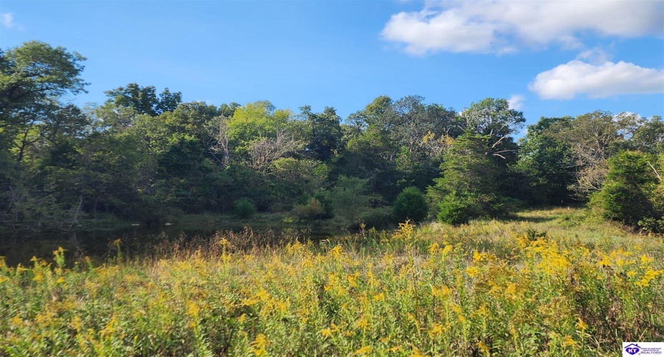 St John Road, Cecilia, Kentucky 42724, ,For Sale,St John Road,HK24003729 St John Road, Cecilia, Kentucky 42724, ,For Sale,St John Road,HK24003729