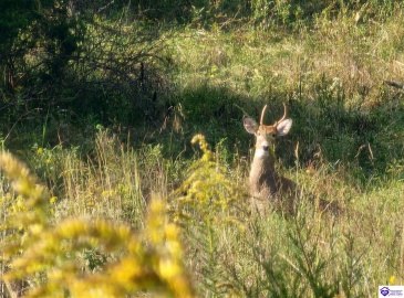 St John Road, Cecilia, Kentucky 42724, ,For Sale,St John Road,HK24003729 St John Road, Cecilia, Kentucky 42724, ,For Sale,St John Road,HK24003729