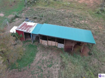 Buck Knobs Road, Ekron, Kentucky 40117, ,3 BathroomsBathrooms,For Sale,Buck Knobs Road,HK24003732 Buck Knobs Road, Ekron, Kentucky 40117, ,3 BathroomsBathrooms,For Sale,Buck Knobs Road,HK24003732