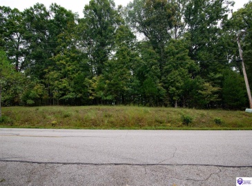 Doe Valley Parkway East, Brandenburg, Kentucky 40108, ,For Sale,Doe Valley Parkway East,HK24003742 Doe Valley Parkway East, Brandenburg, Kentucky 40108, ,For Sale,Doe Valley Parkway East,HK24003742