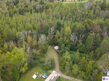 Caven Bend Road, Greensburg, Kentucky 42743, ,For Sale,Caven Bend Road,HK24003753 Caven Bend Road, Greensburg, Kentucky 42743, ,For Sale,Caven Bend Road,HK24003753