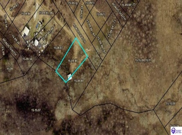 Caven Bend Road, Greensburg, Kentucky 42743, ,For Sale,Caven Bend Road,HK24003754