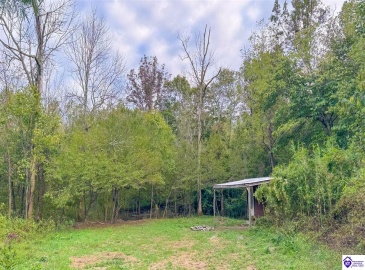 Caven Bend Road, Greensburg, Kentucky 42743, ,For Sale,Caven Bend Road,HK24003754 Caven Bend Road, Greensburg, Kentucky 42743, ,For Sale,Caven Bend Road,HK24003754