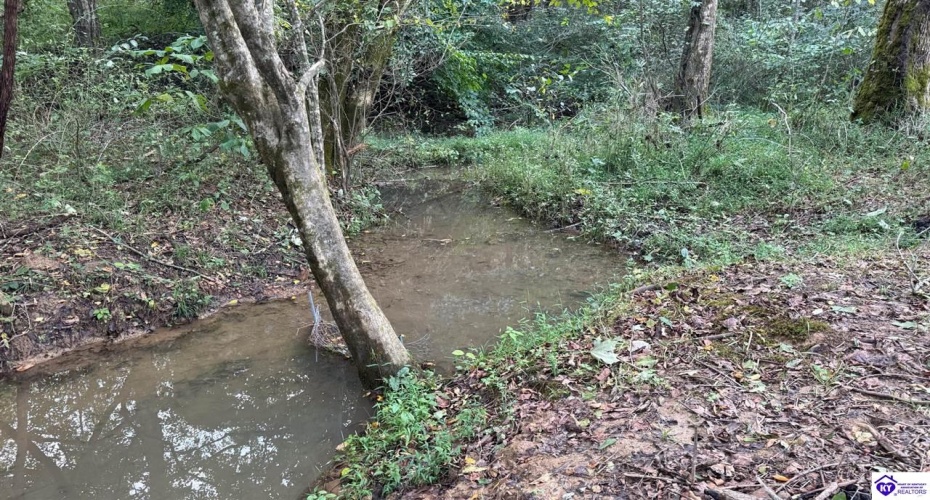 Caven Bend Road, Greensburg, Kentucky 42743, ,For Sale,Caven Bend Road,HK24003754