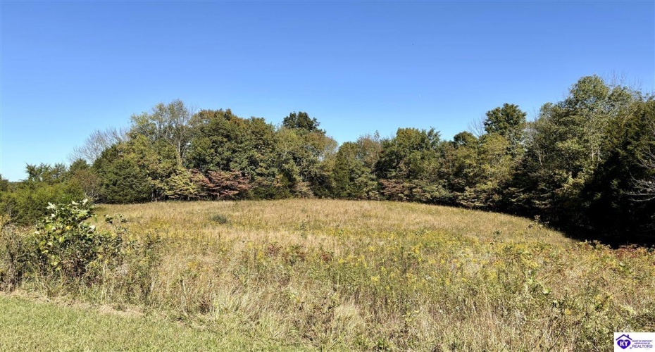 Hayes Cemetery Road, Greensburg, Kentucky 42743, ,3 BathroomsBathrooms,For Sale,Hayes Cemetery Road,HK24003752