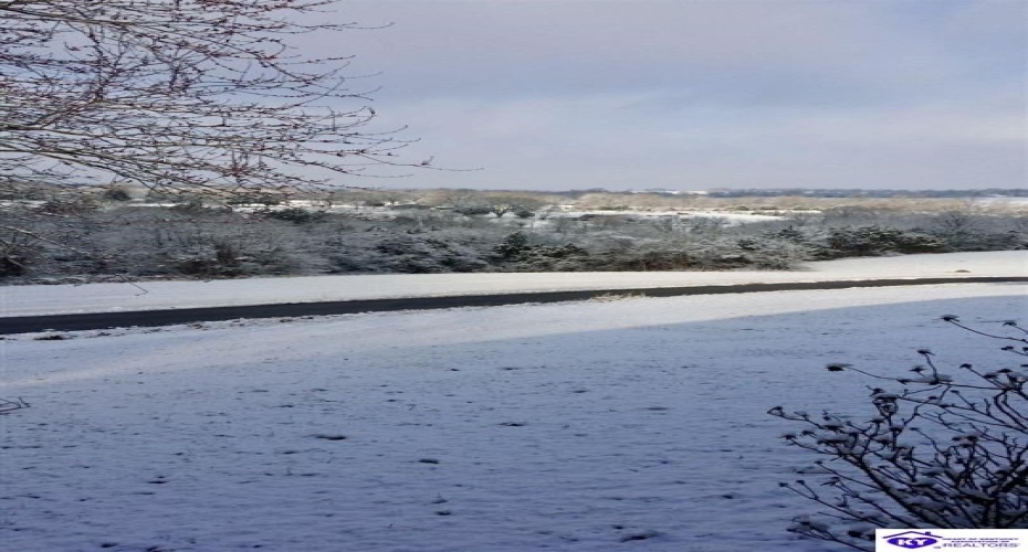 Hayes Cemetery Road, Greensburg, Kentucky 42743, ,3 BathroomsBathrooms,For Sale,Hayes Cemetery Road,HK24003752