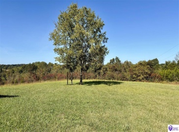 Hayes Cemetery Road, Greensburg, Kentucky 42743, ,3 BathroomsBathrooms,For Sale,Hayes Cemetery Road,HK24003752 Hayes Cemetery Road, Greensburg, Kentucky 42743, ,3 BathroomsBathrooms,For Sale,Hayes Cemetery Road,HK24003752