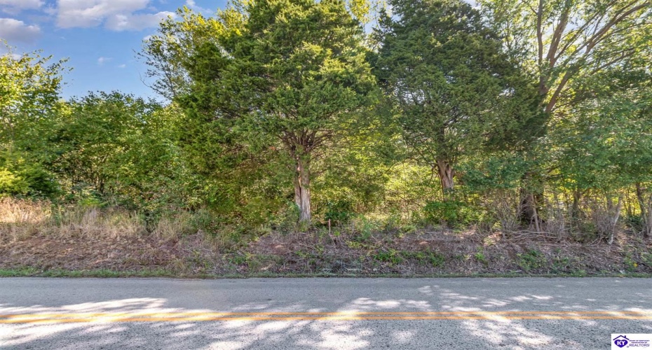 Rineyville School Road, Rineyville, Kentucky 40162, ,For Sale,Rineyville School Road,HK24003771