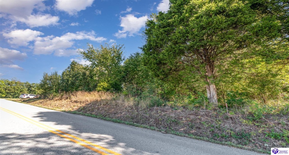 Rineyville School Road, Rineyville, Kentucky 40162, ,For Sale,Rineyville School Road,HK24003771