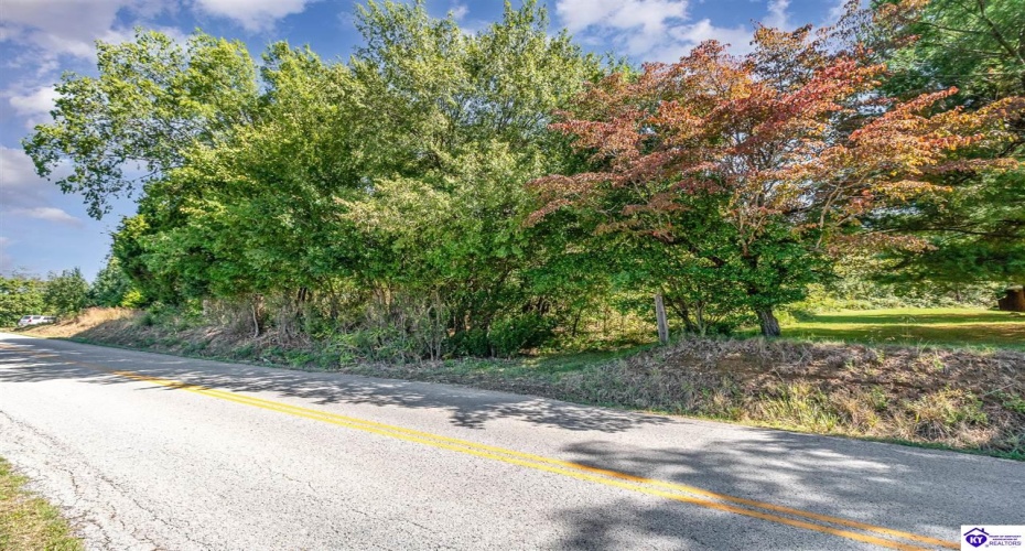 Rineyville School Road, Rineyville, Kentucky 40162, ,For Sale,Rineyville School Road,HK24003771