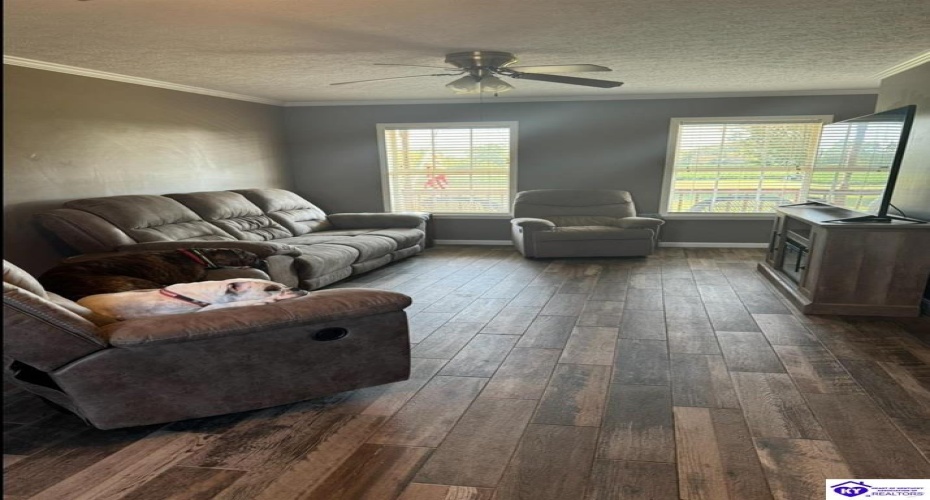 Butler Lane, Custer, Kentucky 40115, ,2 BathroomsBathrooms,For Sale,Butler Lane,HK24003778