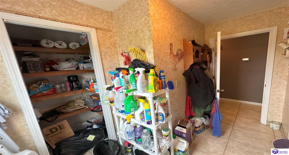 Butler Lane, Custer, Kentucky 40115, ,2 BathroomsBathrooms,For Sale,Butler Lane,HK24003778