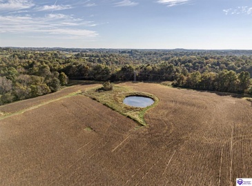 Butler Lane, Custer, Kentucky 40115, ,2 BathroomsBathrooms,For Sale,Butler Lane,HK24003778 Butler Lane, Custer, Kentucky 40115, ,2 BathroomsBathrooms,For Sale,Butler Lane,HK24003778