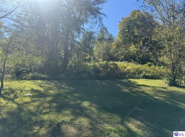 Joe Brown Road, Hodgenville, Kentucky 42748, ,For Sale,Joe Brown Road,HK24003802 Joe Brown Road, Hodgenville, Kentucky 42748, ,For Sale,Joe Brown Road,HK24003802