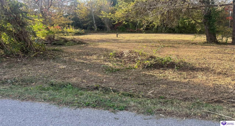 Joe Brown Road, Hodgenville, Kentucky 42748, ,For Sale,Joe Brown Road,HK24003802