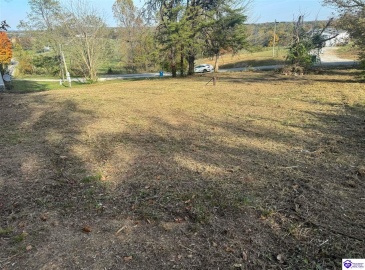 Joe Brown Road, Hodgenville, Kentucky 42748, ,For Sale,Joe Brown Road,HK24003802