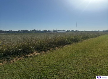 Strange Road, Hodgenville, Kentucky 42748, ,For Sale,Strange Road,HK24003804