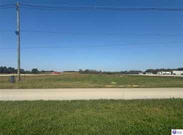 Strange Road, Hodgenville, Kentucky 42748, ,For Sale,Strange Road,HK24003805 Strange Road, Hodgenville, Kentucky 42748, ,For Sale,Strange Road,HK24003805