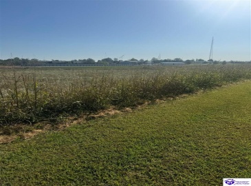 Strange Road, Hodgenville, Kentucky 42748, ,For Sale,Strange Road,HK24003805