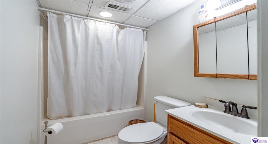 Copelin Road, White Mills, Kentucky 42788, ,4 BathroomsBathrooms,For Sale,Copelin Road,HK24003798