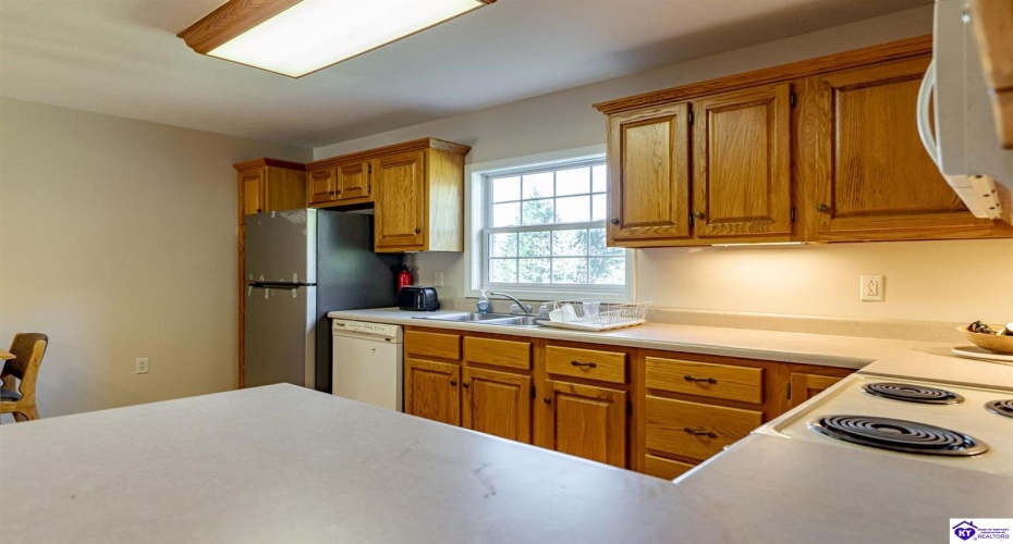 Copelin Road, White Mills, Kentucky 42788, ,4 BathroomsBathrooms,For Sale,Copelin Road,HK24003798