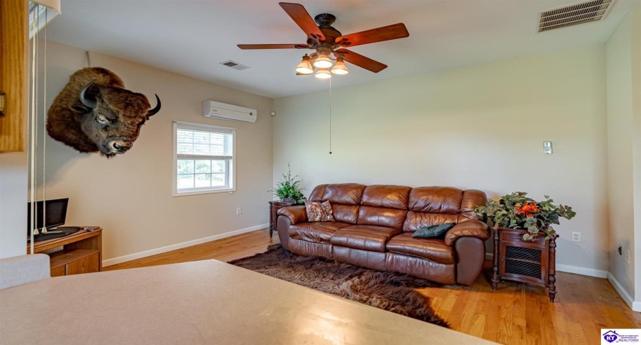 Copelin Road, White Mills, Kentucky 42788, ,4 BathroomsBathrooms,For Sale,Copelin Road,HK24003798