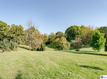 Copelin Road, White Mills, Kentucky 42788, ,4 BathroomsBathrooms,For Sale,Copelin Road,HK24003798 Copelin Road, White Mills, Kentucky 42788, ,4 BathroomsBathrooms,For Sale,Copelin Road,HK24003798