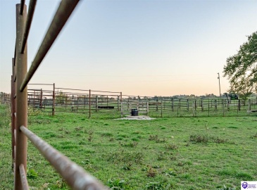 Copelin Road, White Mills, Kentucky 42788, ,4 BathroomsBathrooms,For Sale,Copelin Road,HK24003798 Copelin Road, White Mills, Kentucky 42788, ,4 BathroomsBathrooms,For Sale,Copelin Road,HK24003798