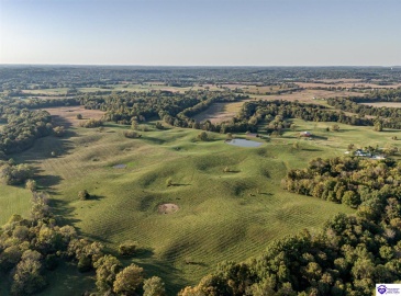 Copelin Road, White Mills, Kentucky 42788, ,4 BathroomsBathrooms,For Sale,Copelin Road,HK24003798 Copelin Road, White Mills, Kentucky 42788, ,4 BathroomsBathrooms,For Sale,Copelin Road,HK24003798