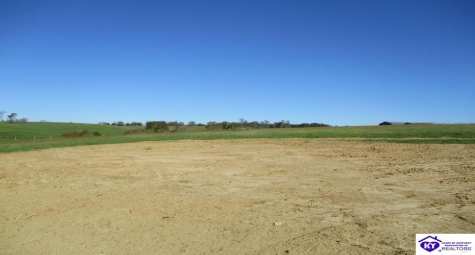 Bearwallow Road, Springfield, Kentucky 40069, ,2 BathroomsBathrooms,For Sale,Bearwallow Road,HK24003799