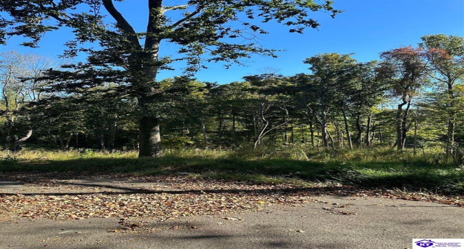 Wren Circle, Campbellsville, Kentucky 42718, ,For Sale,Wren Circle,HK24003833 Wren Circle, Campbellsville, Kentucky 42718, ,For Sale,Wren Circle,HK24003833